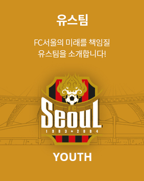 유스팀