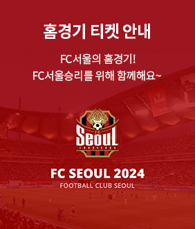 홈경기 티켓 안내